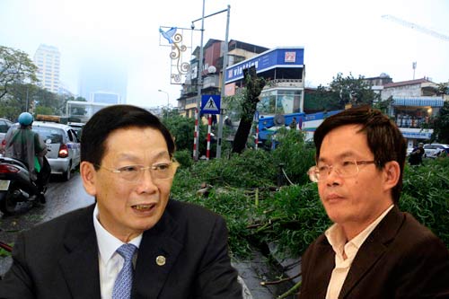 Vụ hạ sát hàng nghìn cây xanh: Phản ứng của Chủ tịch Hà Nội quá chậm? - Giáo dục Việt Nam