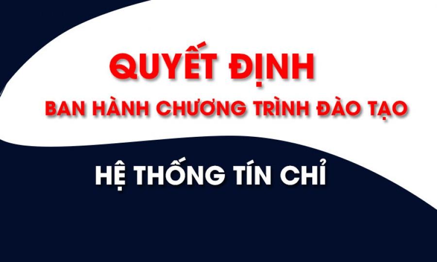 Tổ chức đào tạo tín chỉ phù hợp với cách tiếp cận phát triển năng lực - Giáo dục Việt Nam