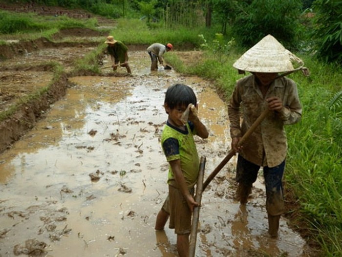 Chùm ảnh: 1001 nỗi khổ của những đứa trẻ ở tuổi đến trường - Giáo dục Việt  Nam