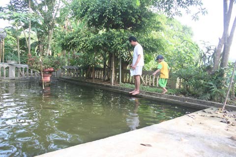 Ăn thịt "cá thần" trăm tuổi, Tin tức trong ngày, hang ca than, ca than, so ghi chep, suoi ca than, ca chep, sach do viet nam, tin tuc 24h